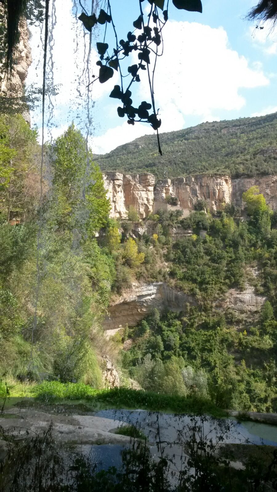 мариан 387
